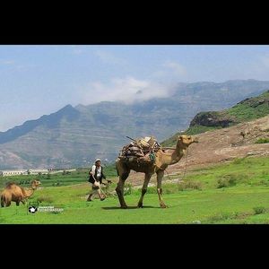 Meet your Posher, Saleh